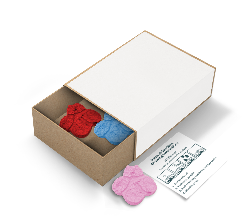 Rainball Seedboxes - Example Artwork (3D)_Bee Shape_Unbranded (GGS-009)