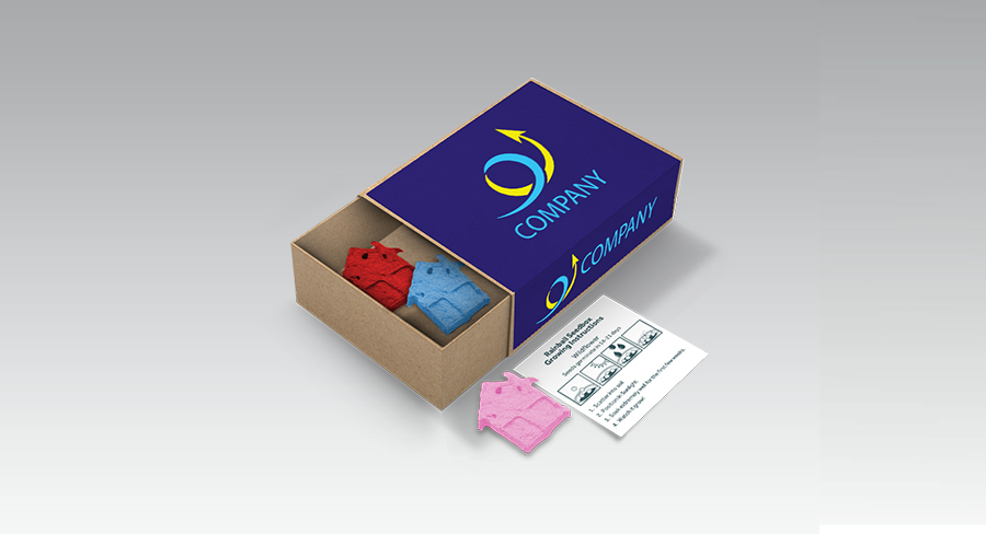 Box of House-shaped Rainball Seedballs