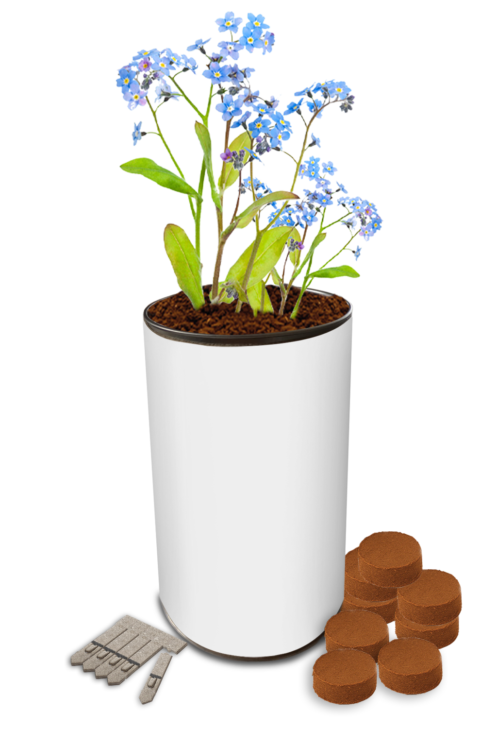 Seed Tin Gardens - Example Artwork (3D) (GKS-032) Growing Plant_Unbranded