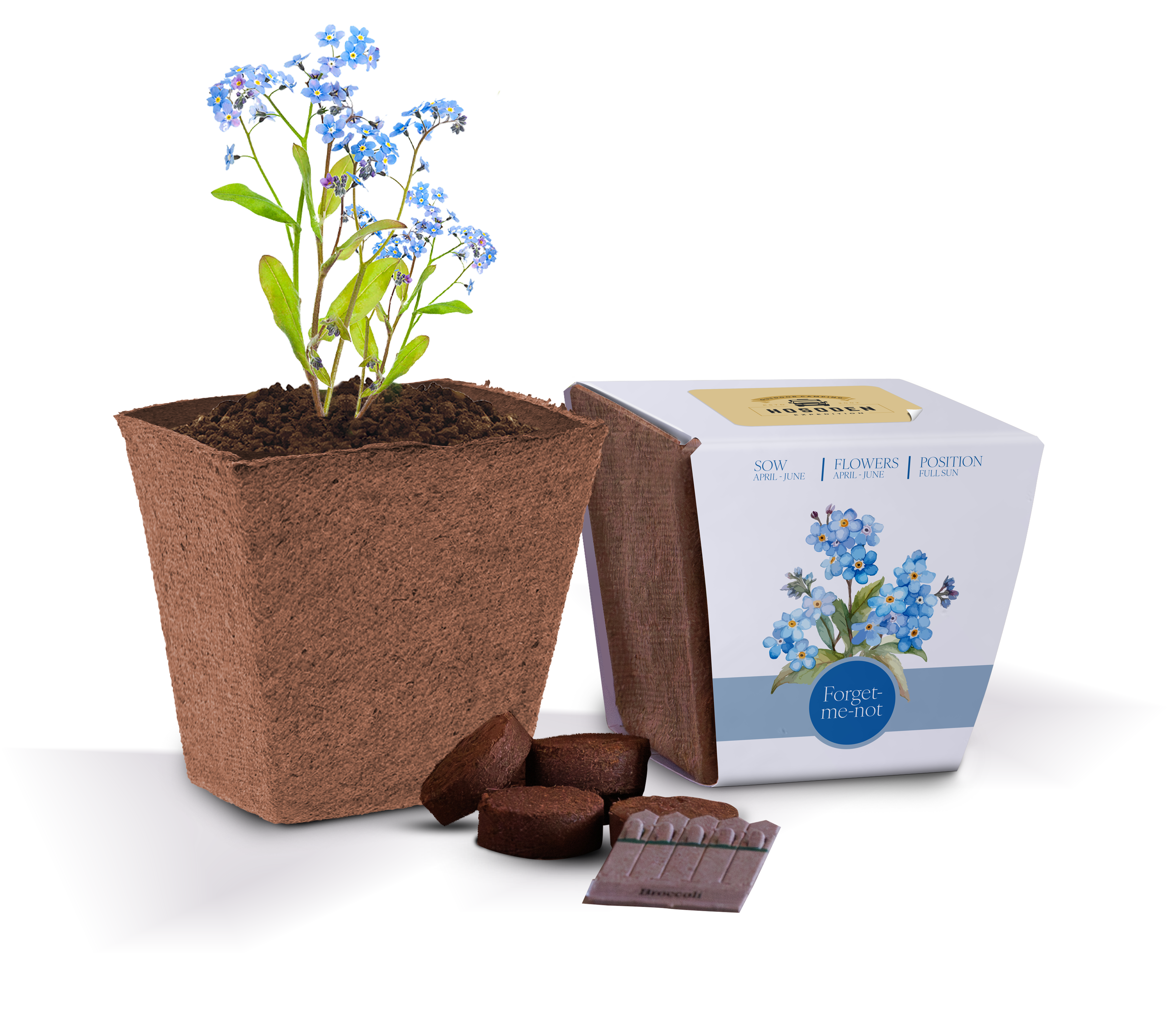 Essentials Bio Pot Gardens - Example (Forget-me-not) (3D)