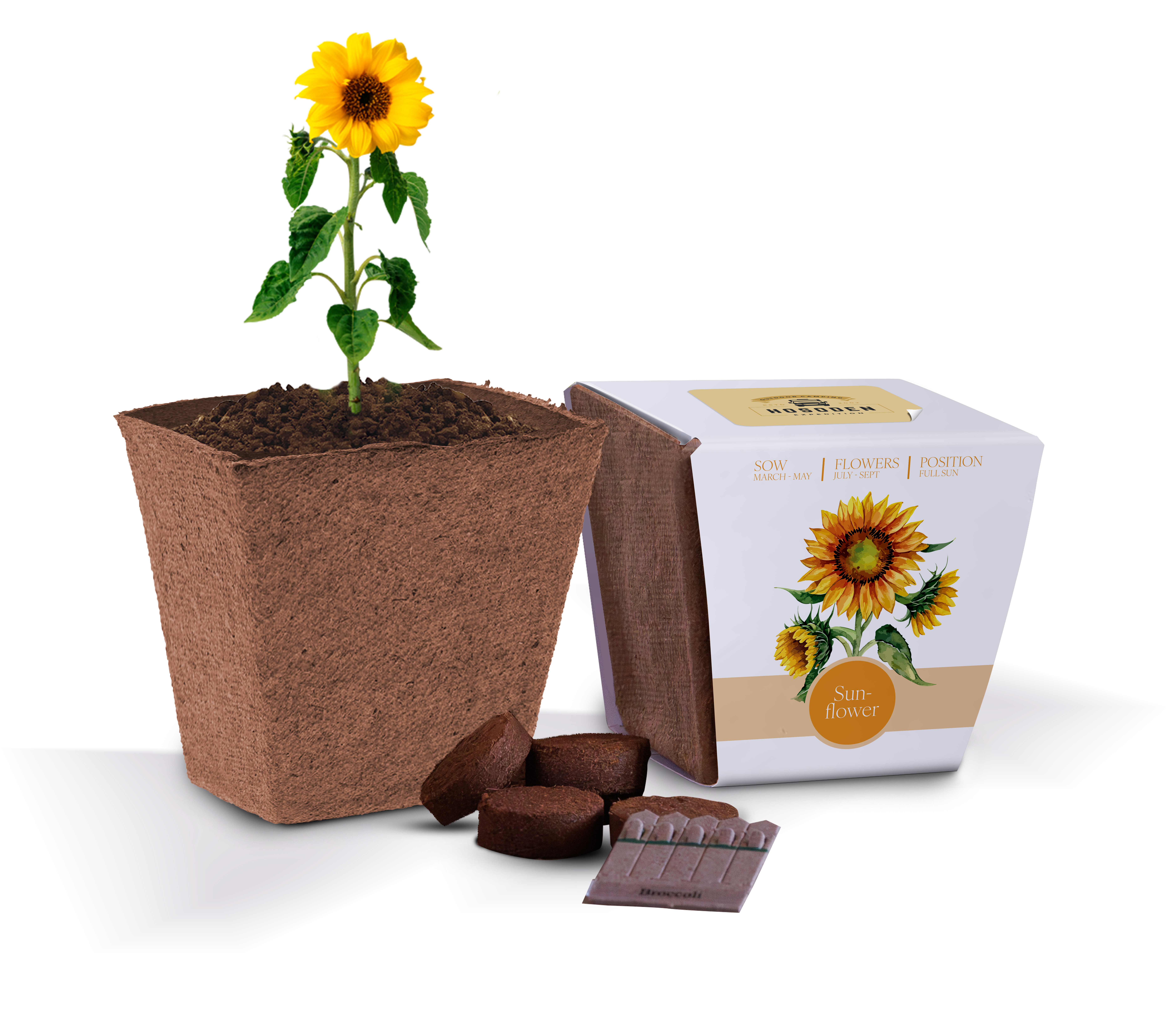 Essentials Bio Pot Gardens - Example (Sunflower) (3D)