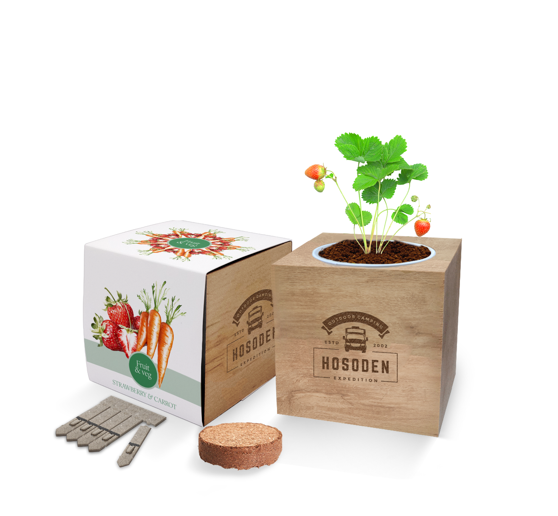 Essentials Desktop Cube Gardens - Example Artwork (Friuit & Veg)