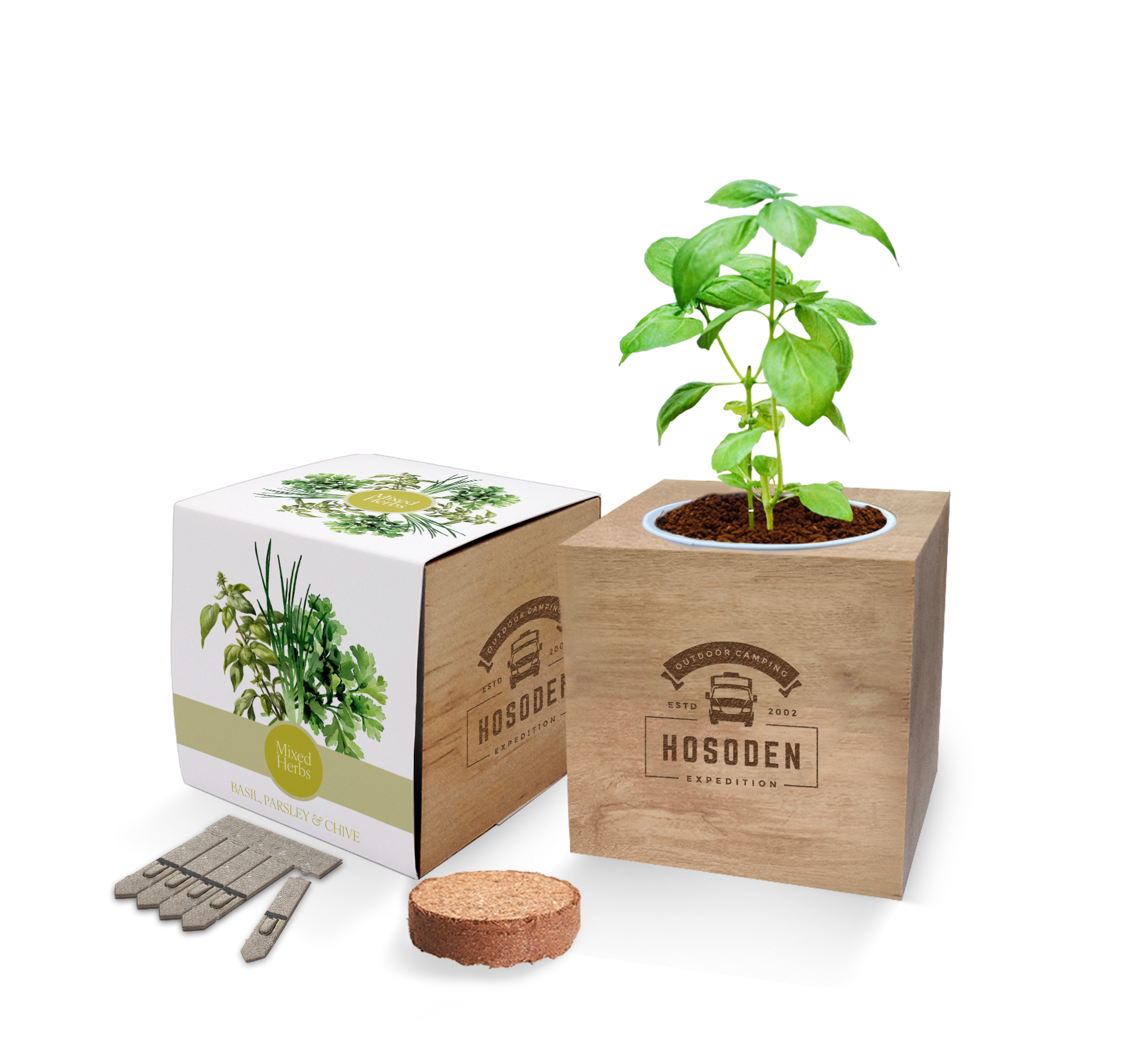 Essentials Desktop Cube Gardens - Example Artwork (Herb mix)