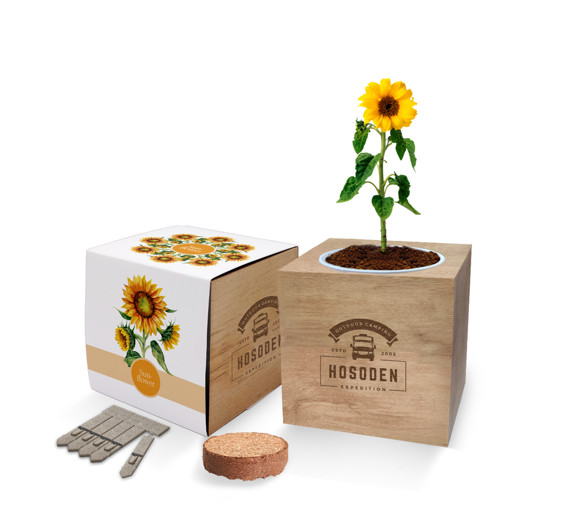 Essentials Desktop Cube Gardens - Example Artwork (Sunflower)