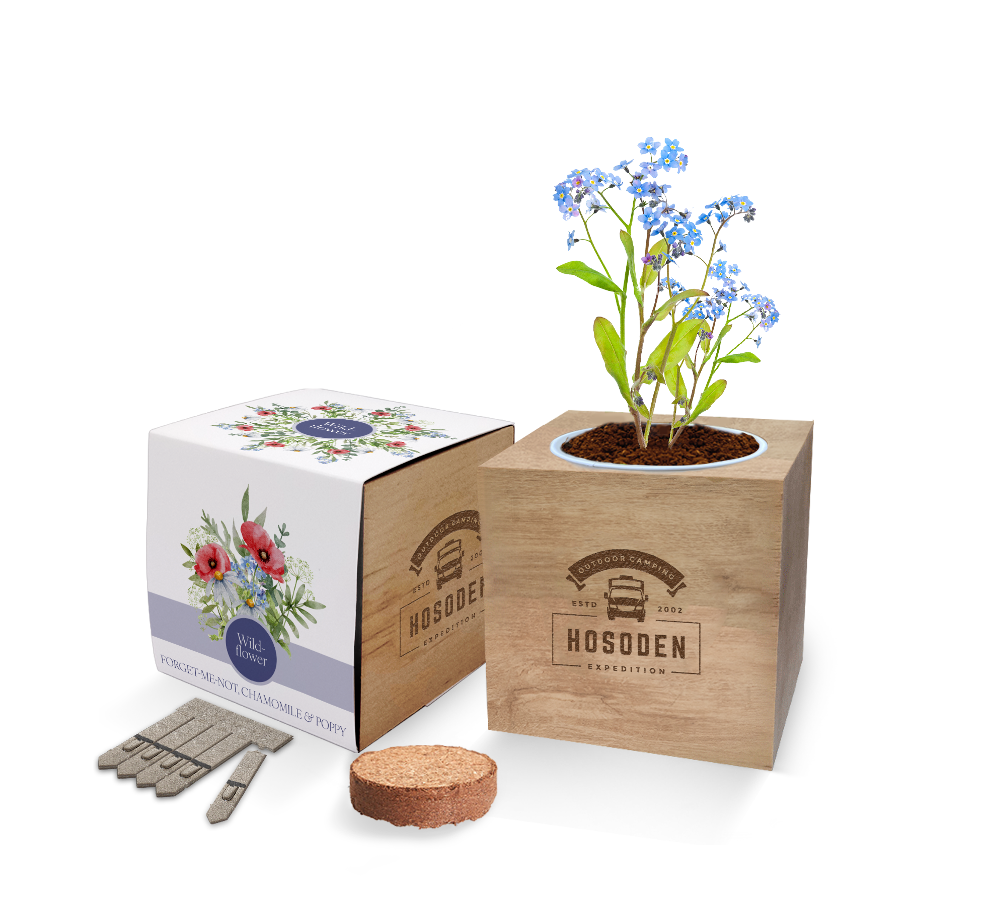 Essentials Desktop Cube Gardens - Example Artwork (Wildflower Mix)