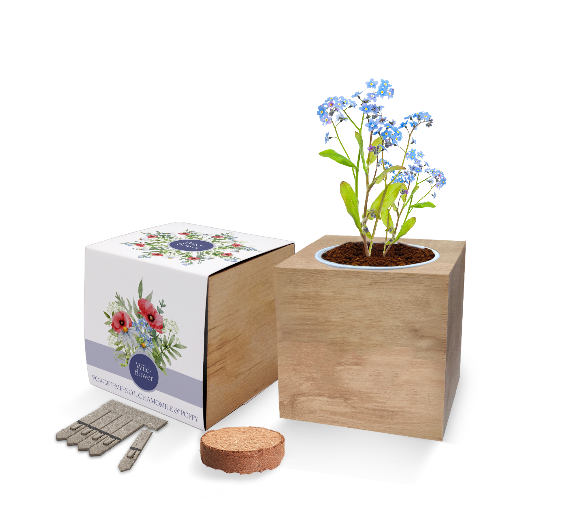 Essentials Desktop Cube Gardens - Example Artwork (Wildflower Mix) Unbranded