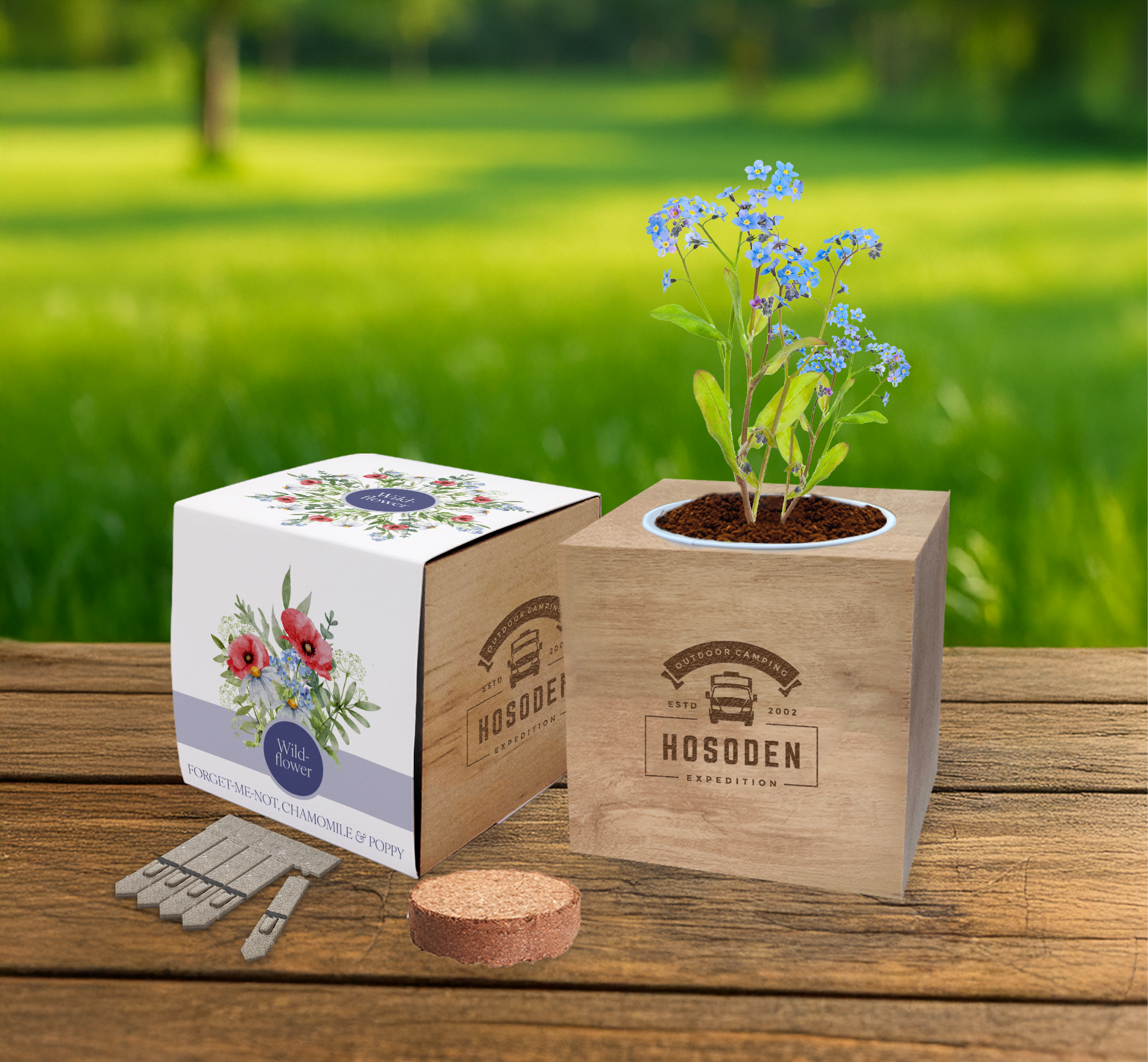 Essentials Desktop Cube Gardens - Example Artwork (Wildflower Mix)_Lifestyle image