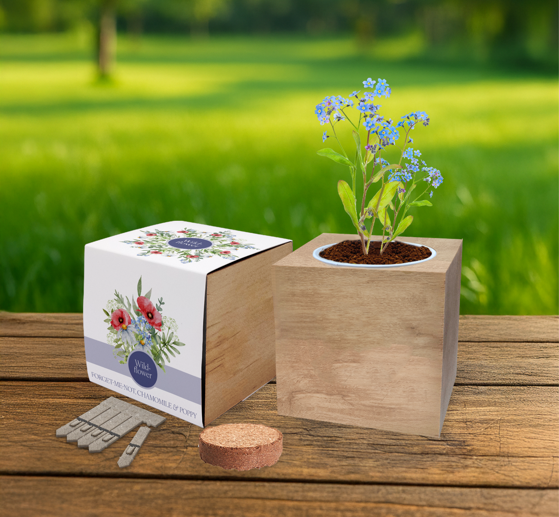 Essentials Desktop Cube Gardens - Example Artwork (Wildflower Mix)_Lifestyle image_Unbranded