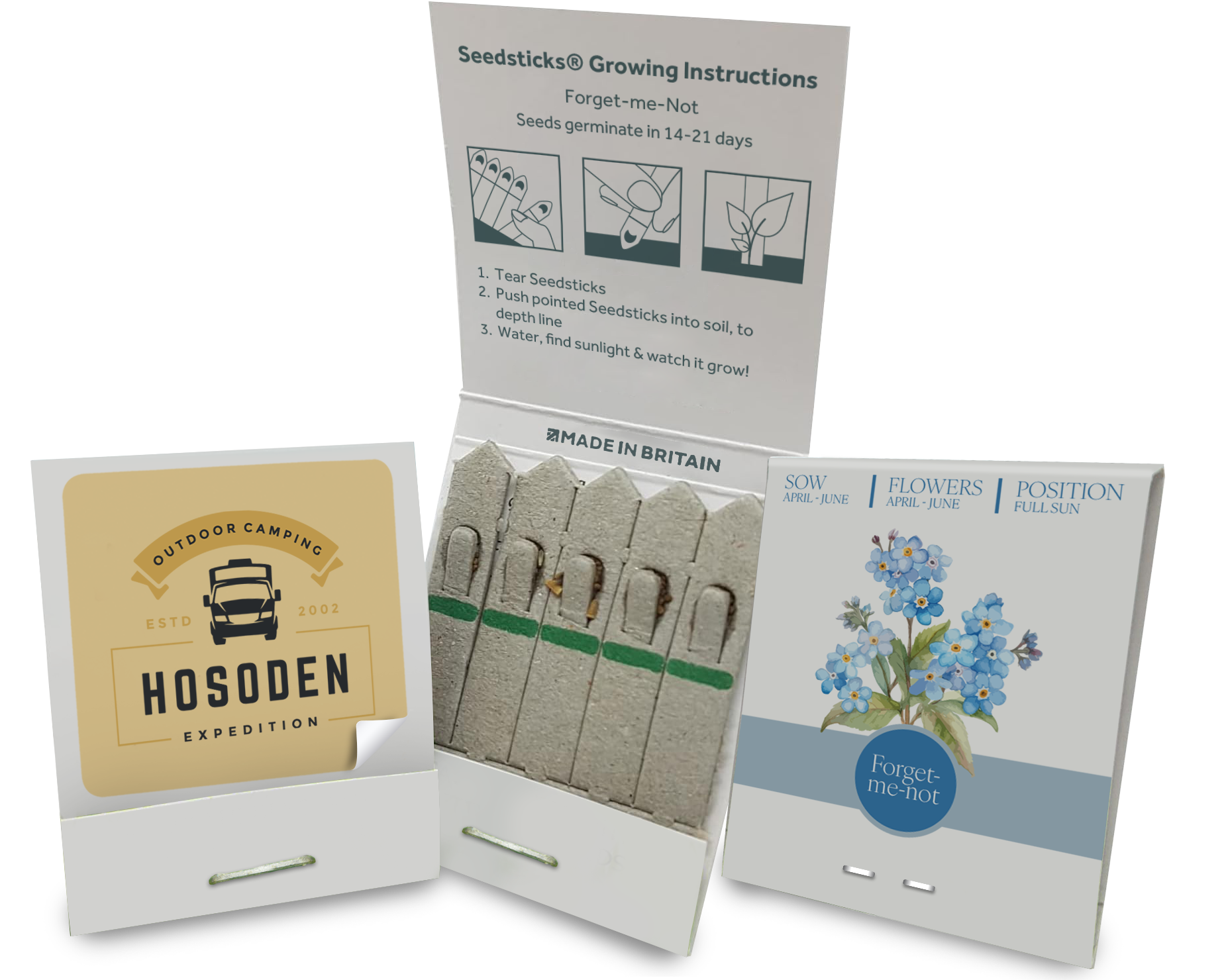 Essentials Small Standard Seedsticks (Forget-me-not)