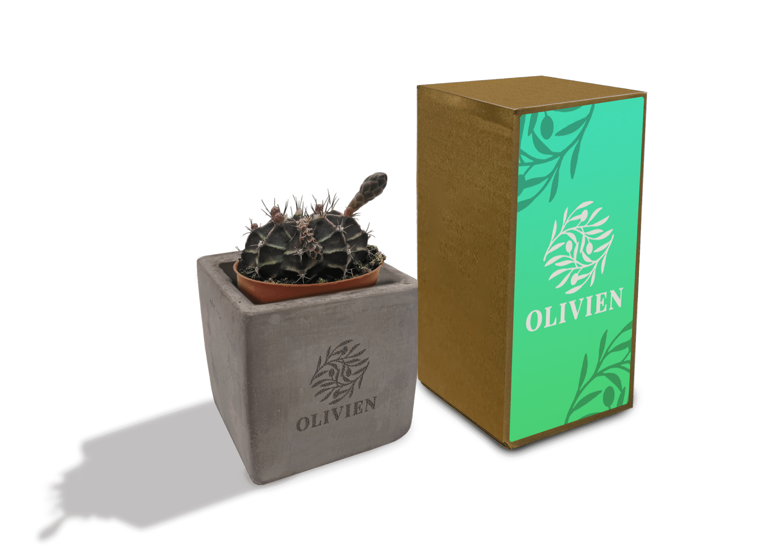 Concrete Cacti - Example Artwork (3D) (LPS-002)