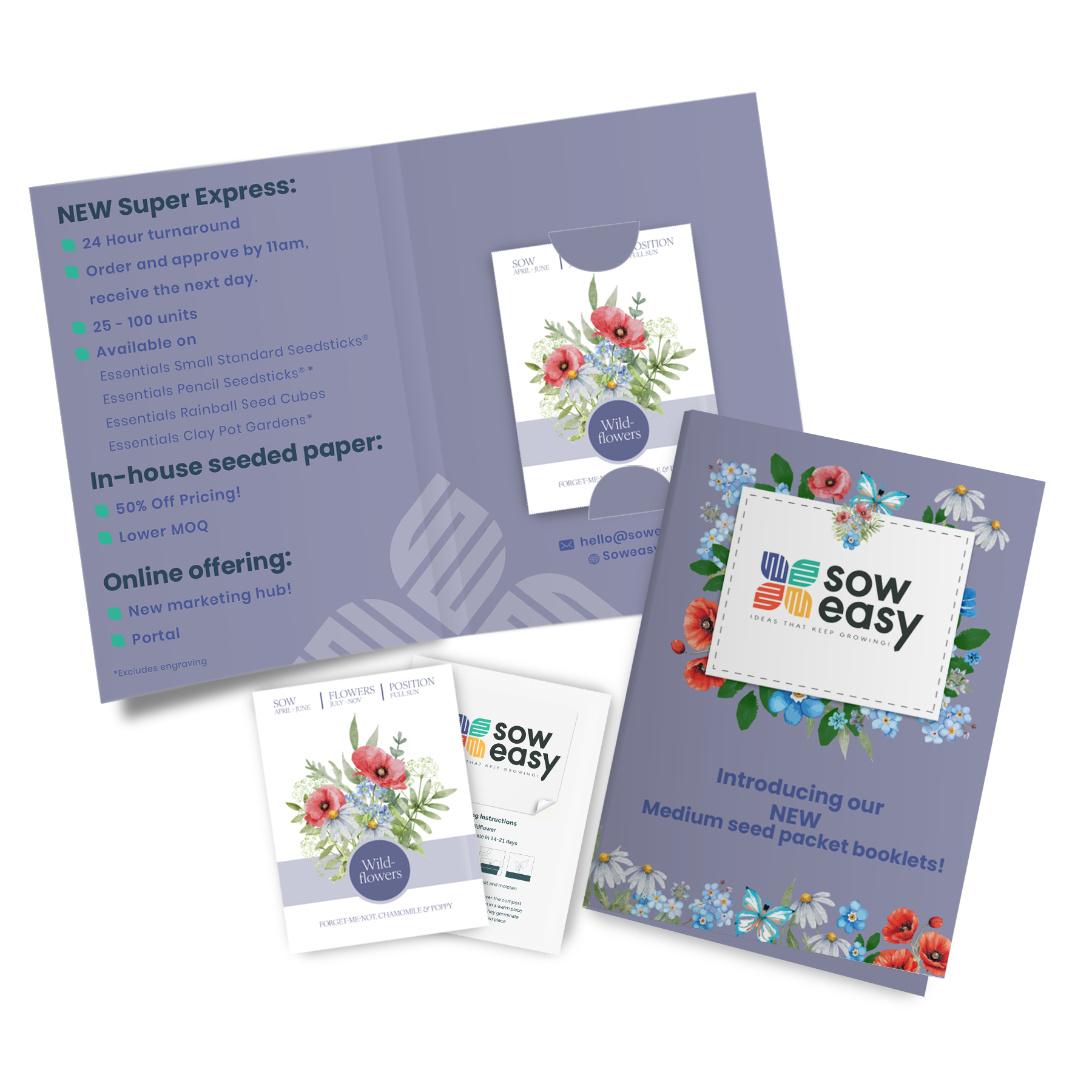 Medium Seed Packet Booklet - Example Artwork (Wildflower Mix) (3D) (SST-066) Branded