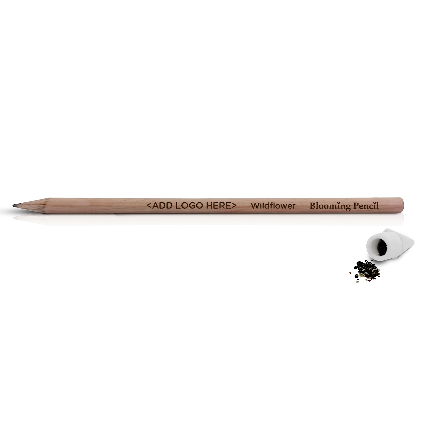 Blooming Pencil - Example Artwork (3D) (STA-018)_2