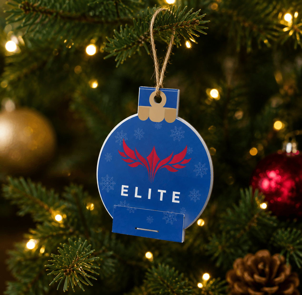 Christmas Bauble Seedsticks - Example Artwork (3D) (CHR-009) Lifestyle