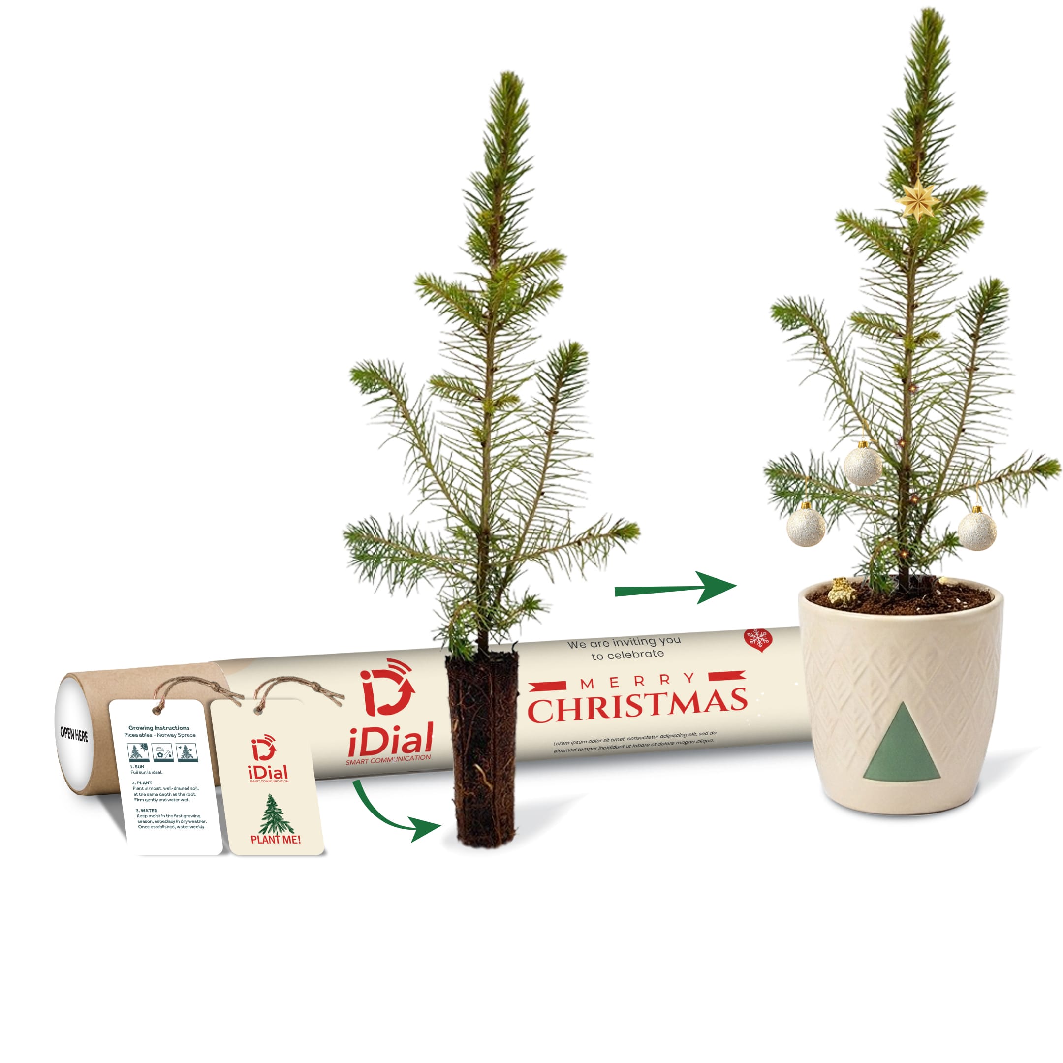 Mini Christmas Tree_Example Artwork_3D_ CHR-010