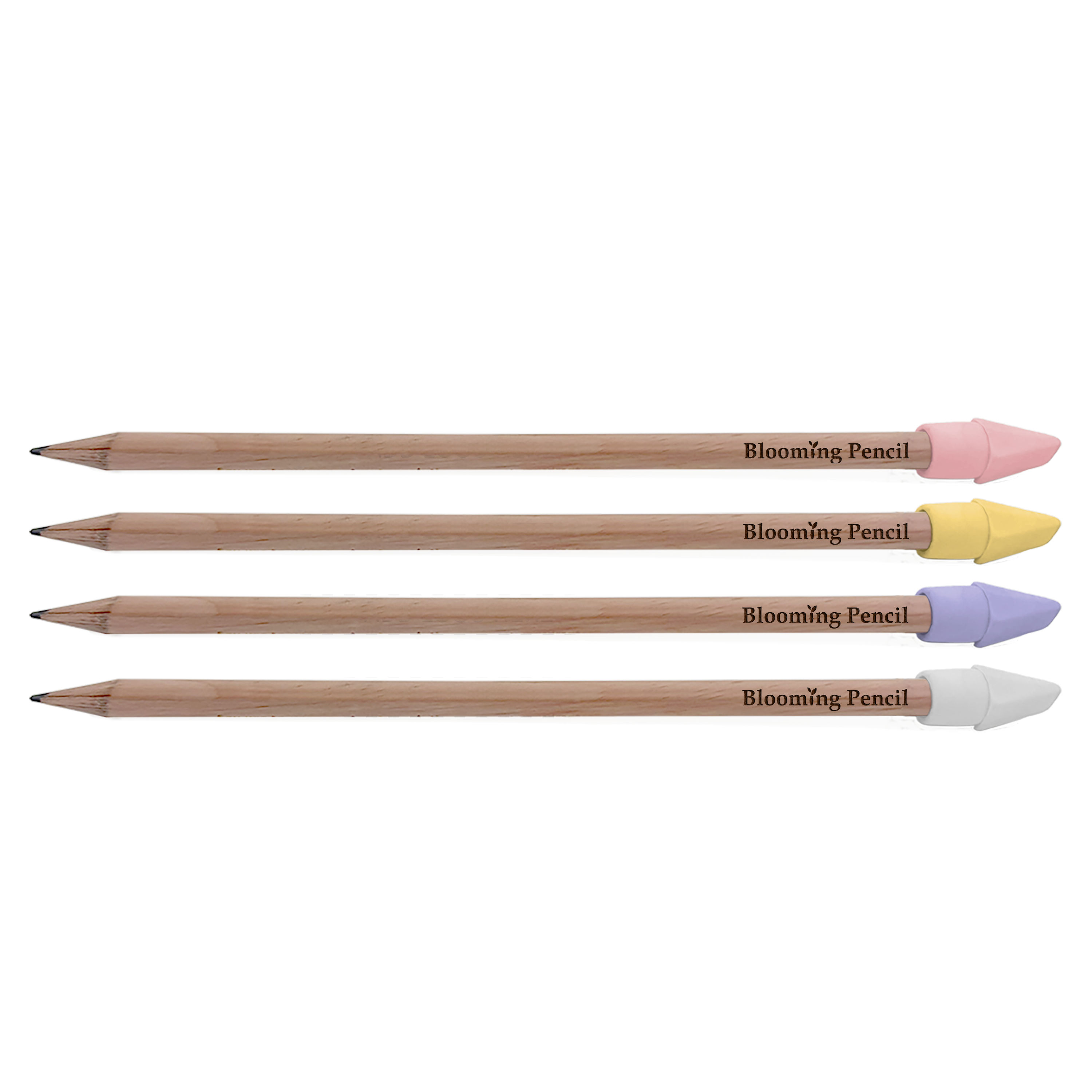 Blooming Pencil - Group Shot (STA-018)