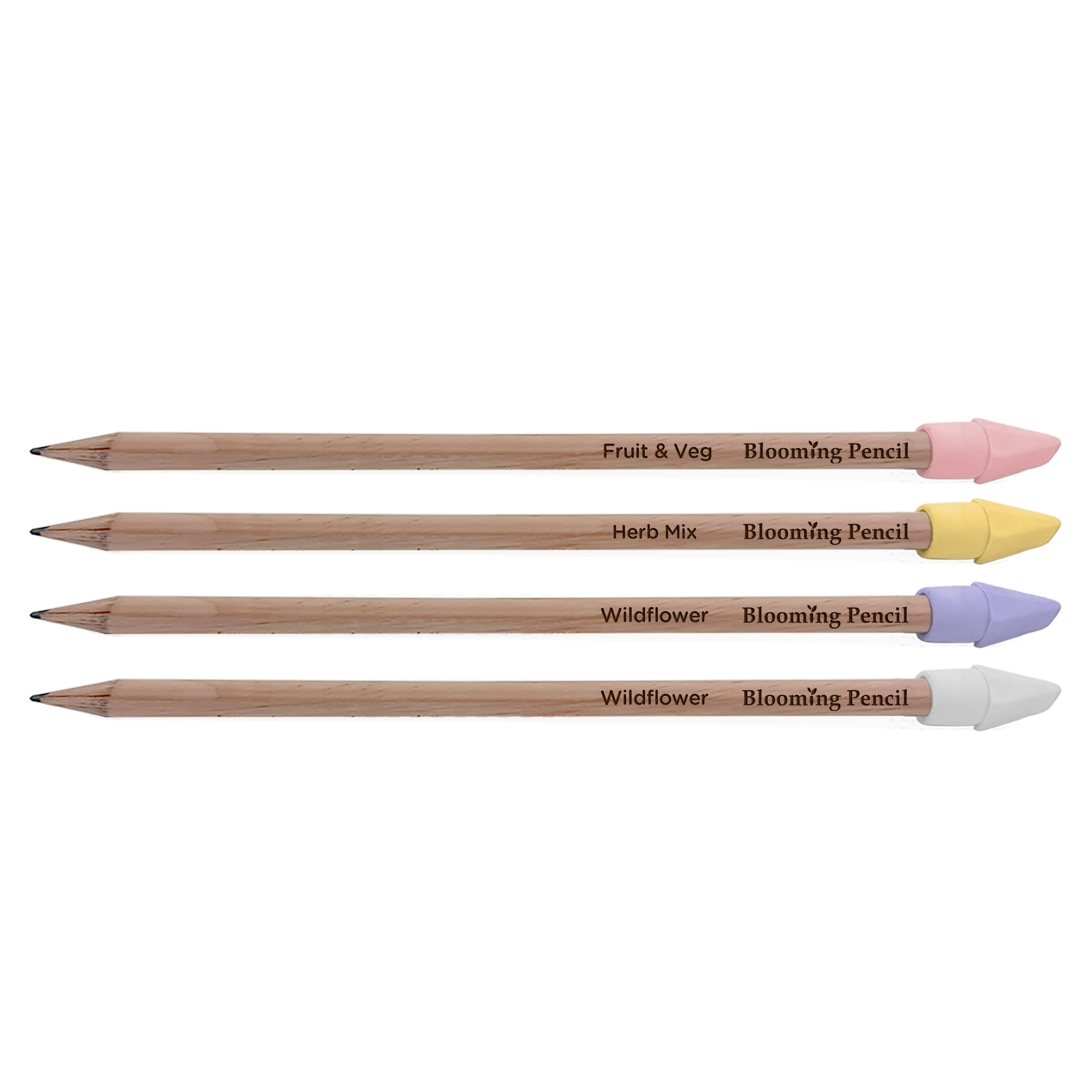 Blooming Pencil - Group Shot With Seed Name (STA-018)