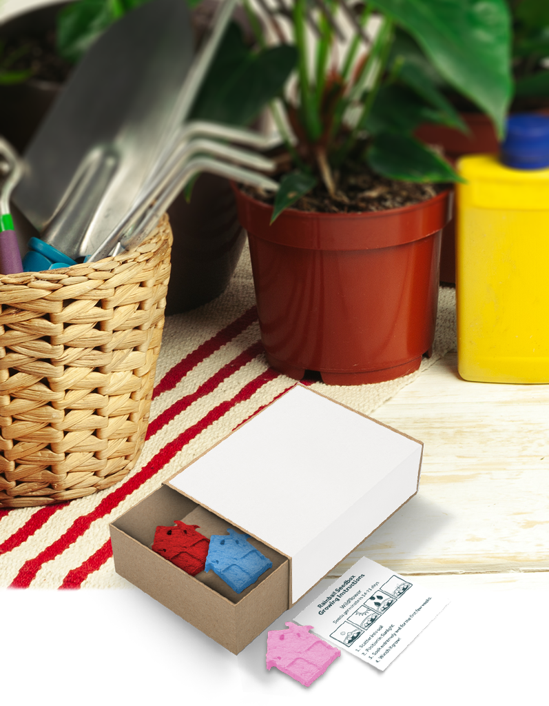 Rainball Seedboxes - Example Artwork (3D)_House Shape_Lifestyle image(GGS-011) Unbranded.png