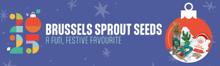 Email Banner Christmas 2.jpg