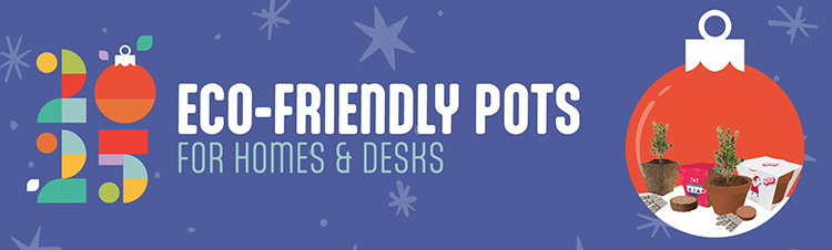 Email Banner Christmas 3.jpg