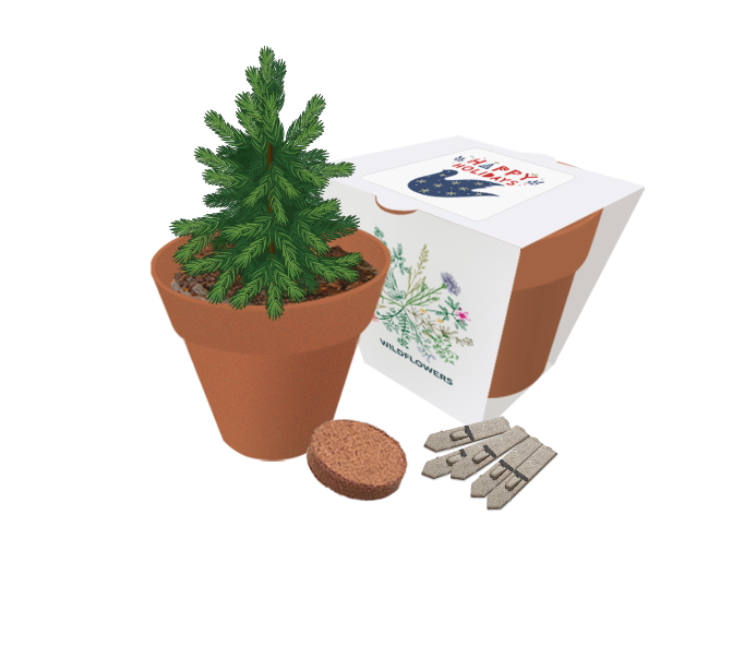 EXP-003 Christmas Essentials Clay Pot Gardens.png