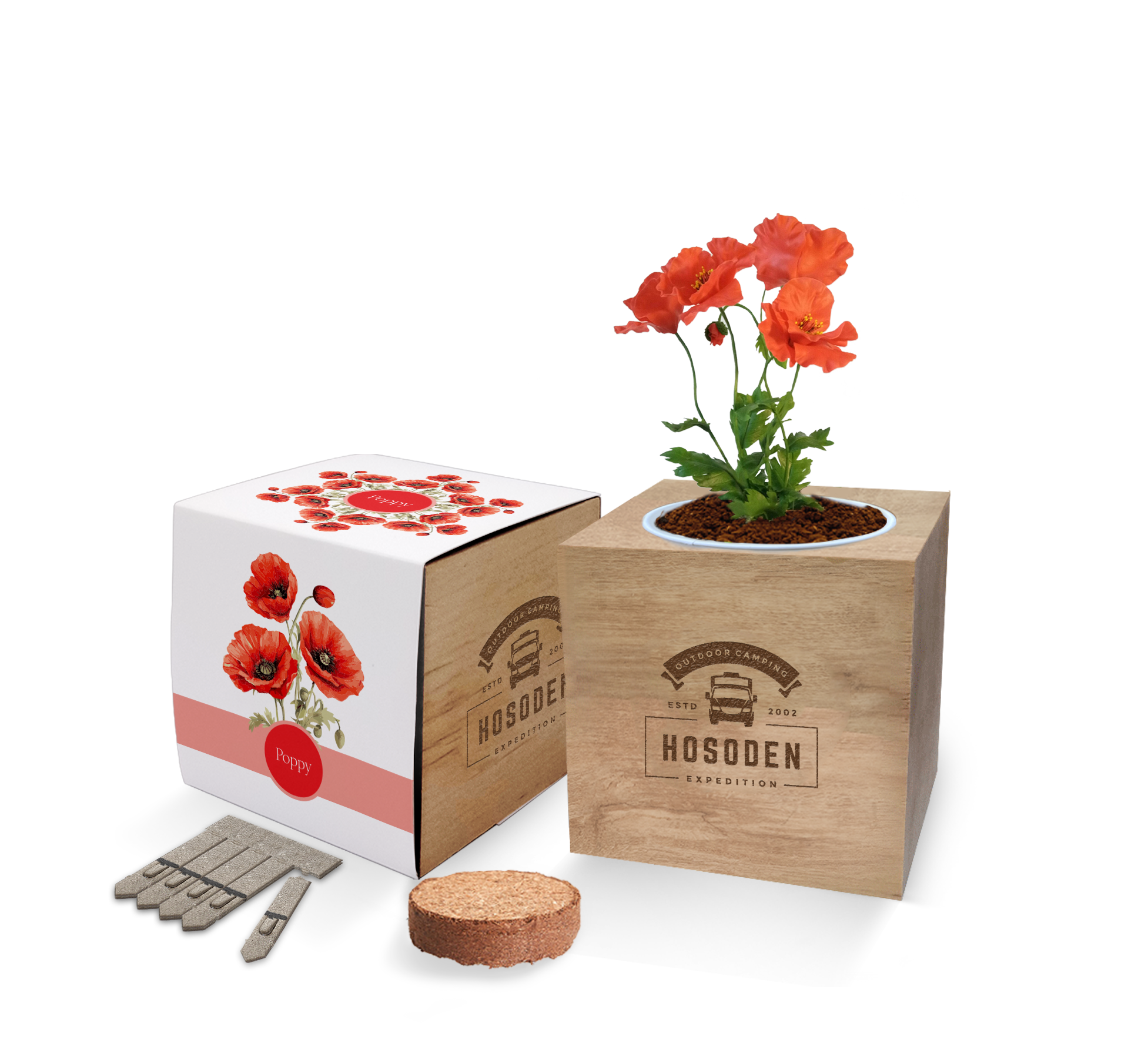 EXP-004 Express Desktop Cube Gardens.png