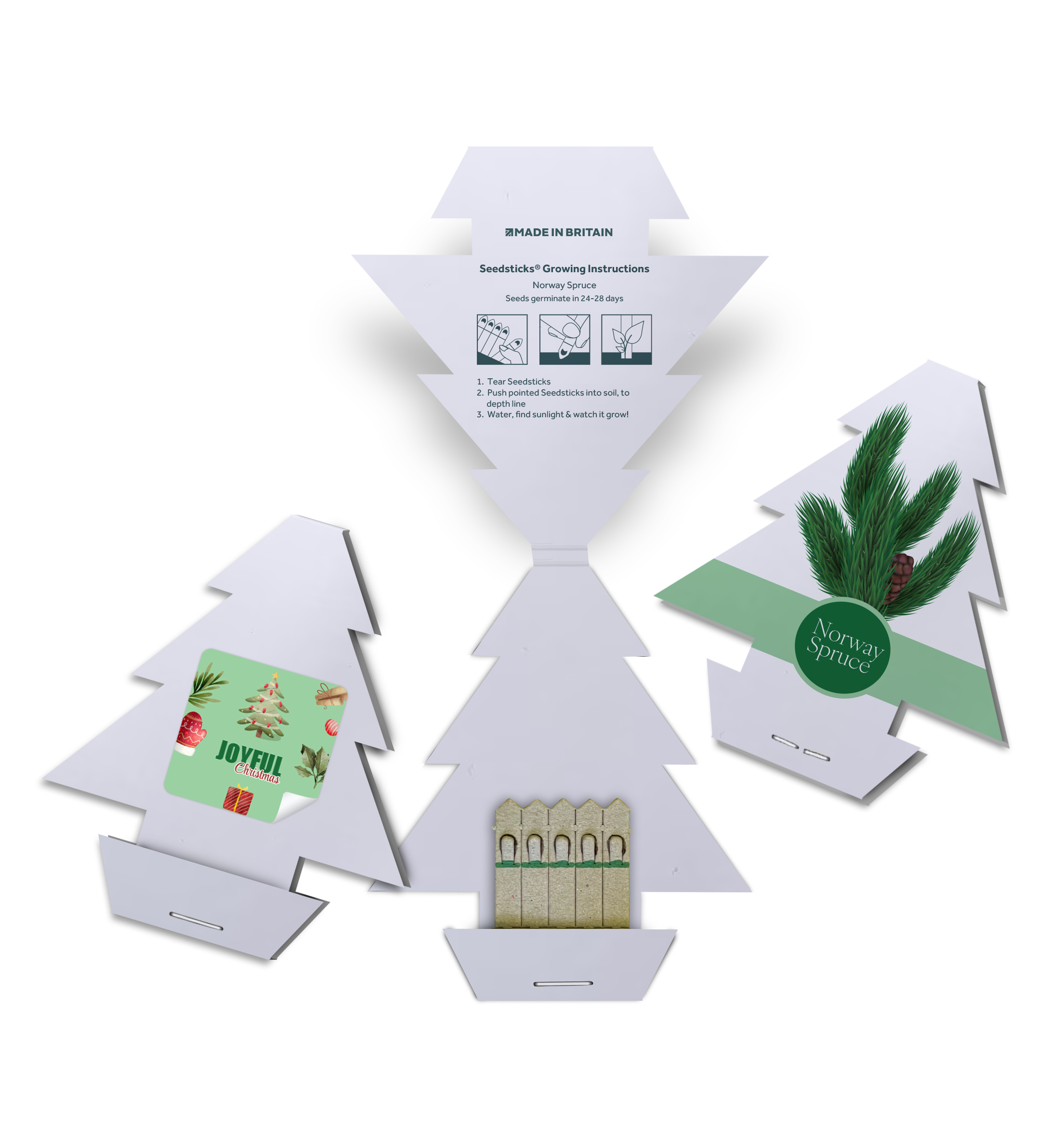 Essential Christmas Tree Seedsticks.png