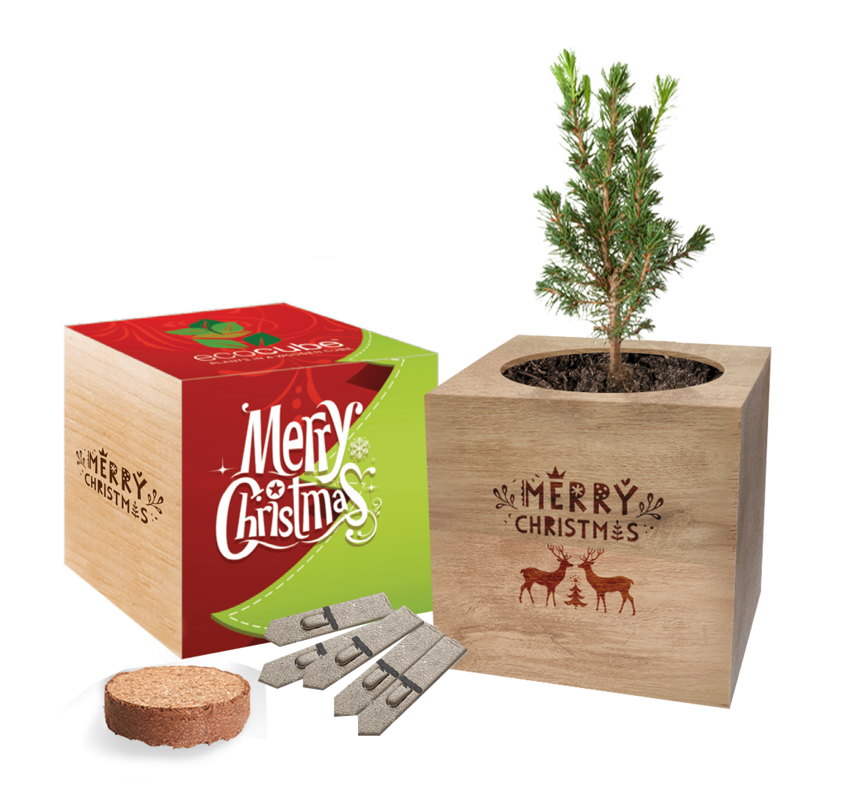 GKS-021 Desktop Cube Garden.png