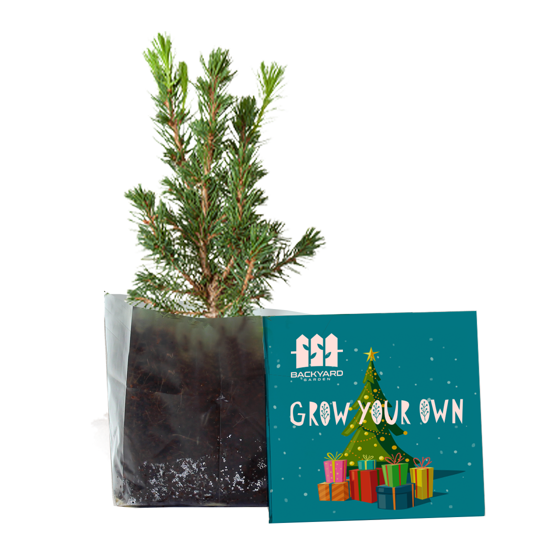 GKS-023 Letterbox Gardens.png