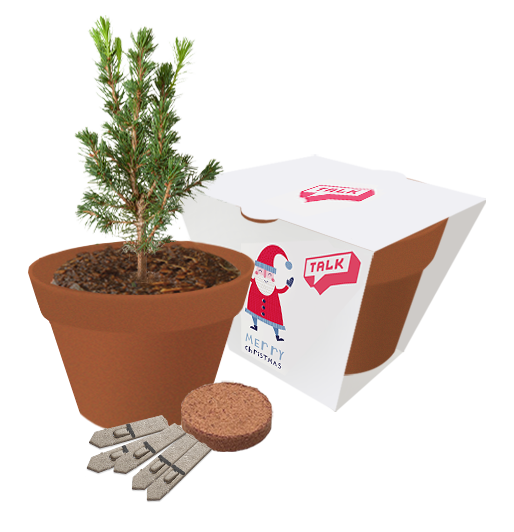 GKS-025 Christmas Clay Pot Gardens.png