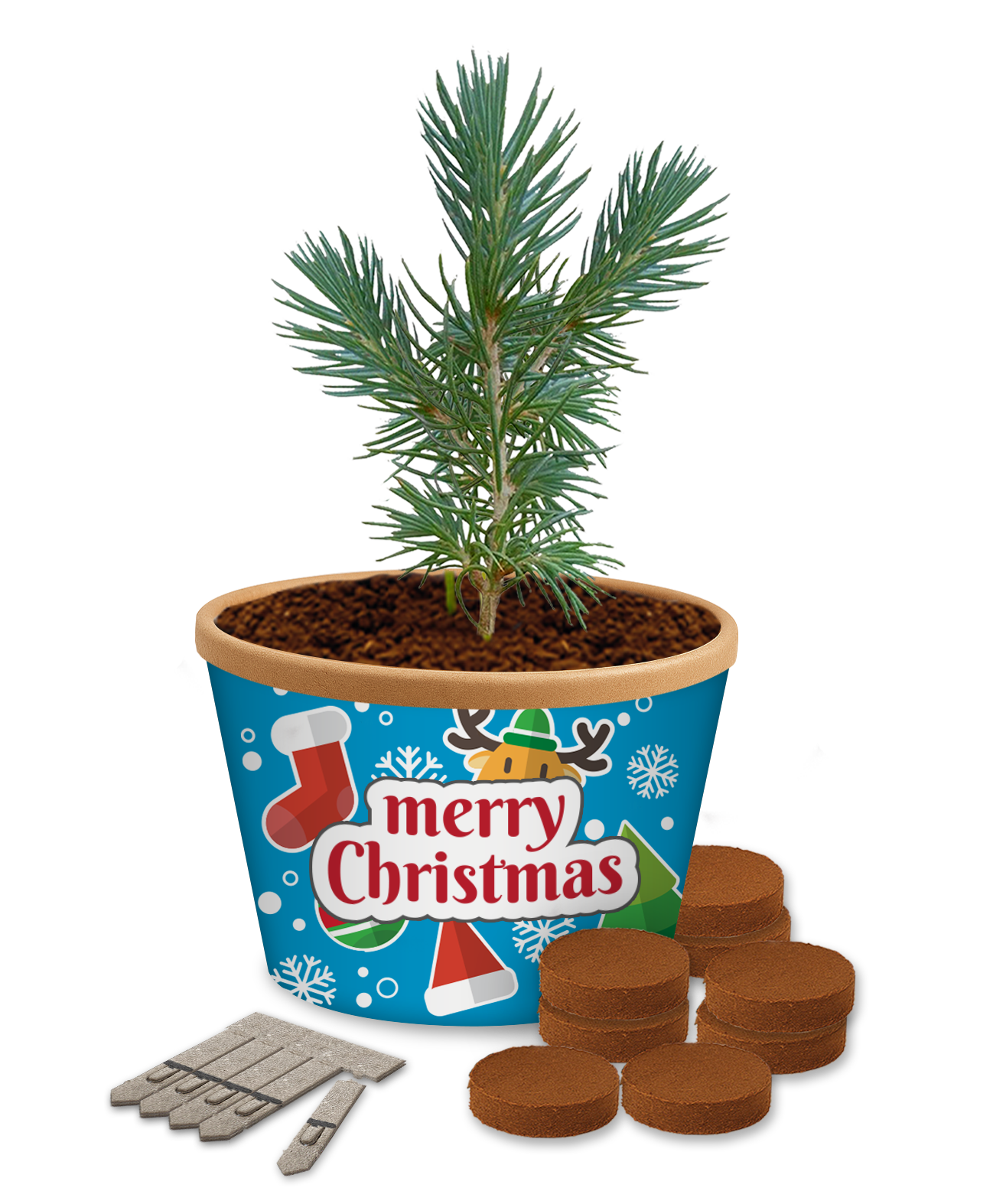 GKS-031 Christmas Desktop Cup Gardens.png
