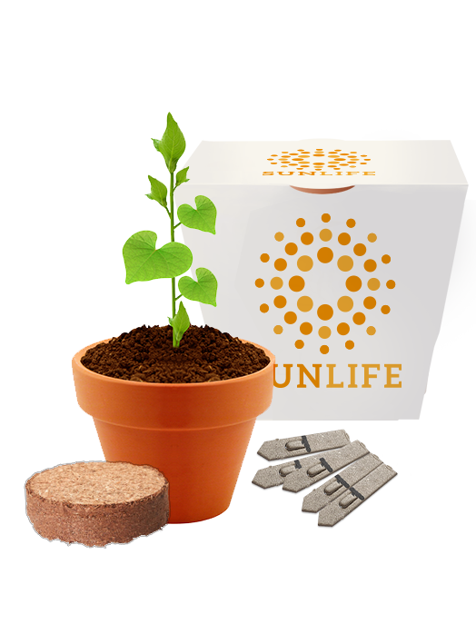 Clay Pot Garden (GKS-025).png