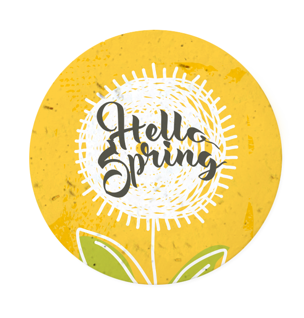 Coaster (SPR-028).png