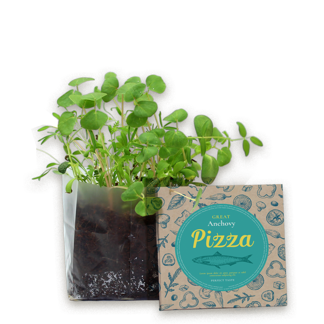 Instant Garden (GKS-012).png