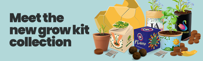 Odoo Header (Dist).jpg