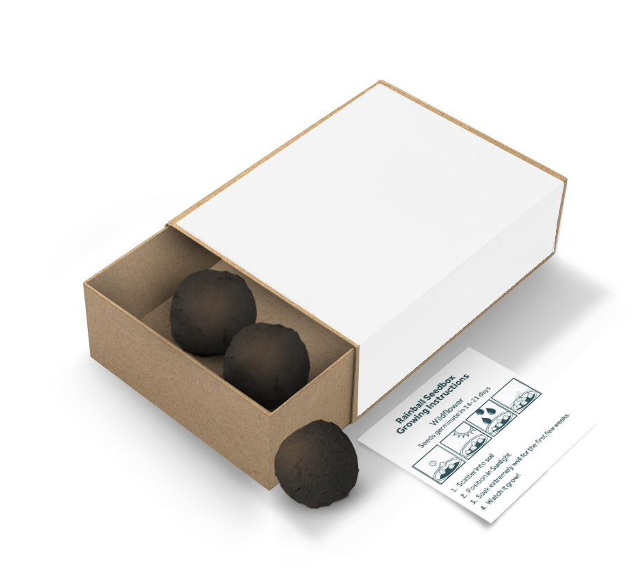 Seed Ball Matchboxes - Example Artwork (3D) (GGS-008) Unbranded.png