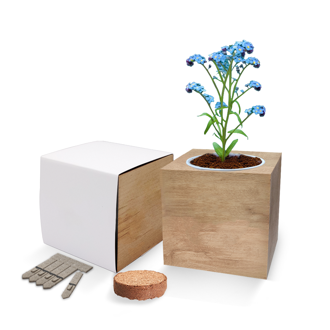 Desktop Cube Gardens - Example Artwork (3D) (GKS-021) Unbranded.png