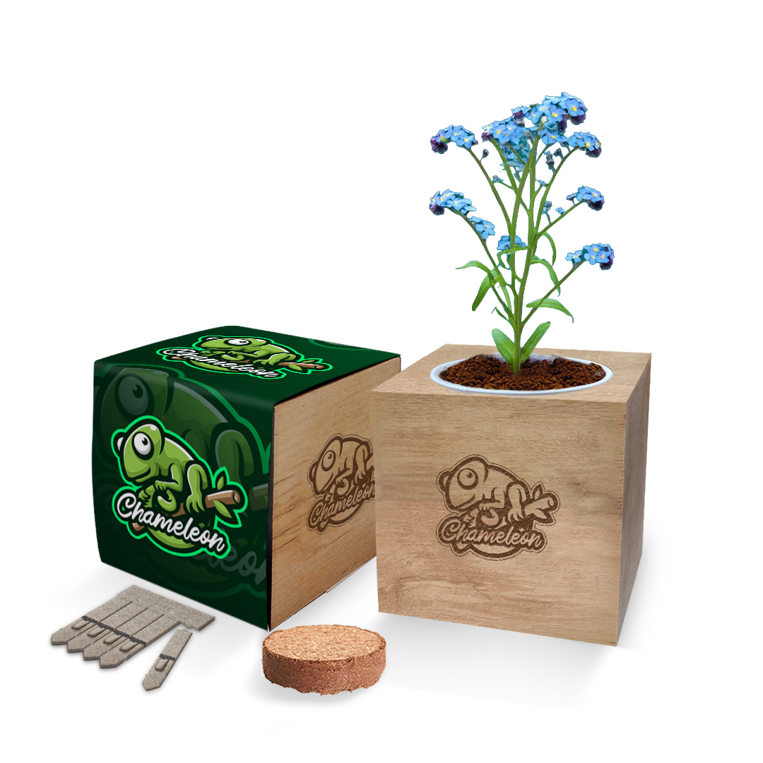 Desktop Cube Gardens - Example Artwork (3D) (GKS-021).png