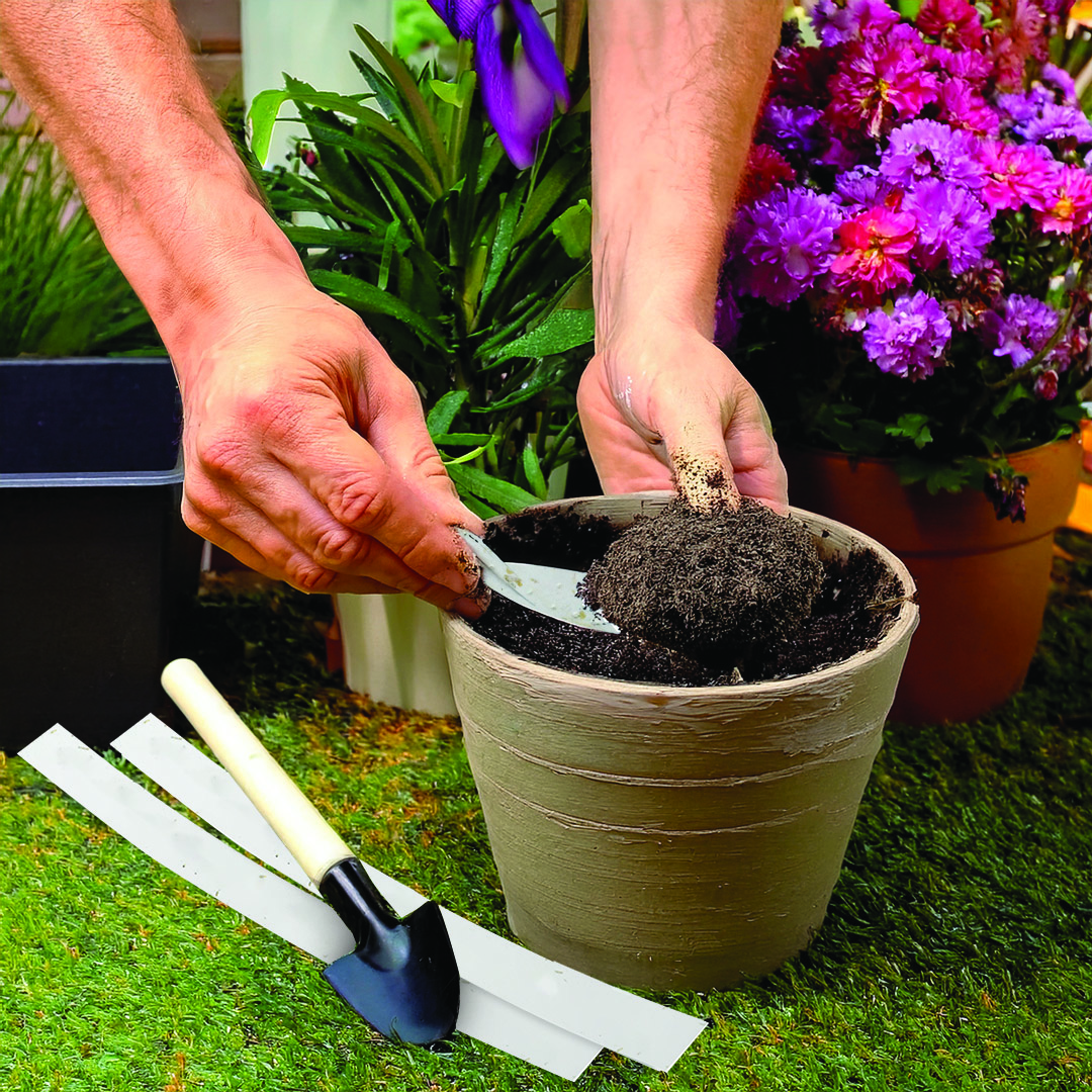 Seeded Paper Wristbands - Example Artwork (3D) (SPR-012) Lifestyle Unbranded.jpg