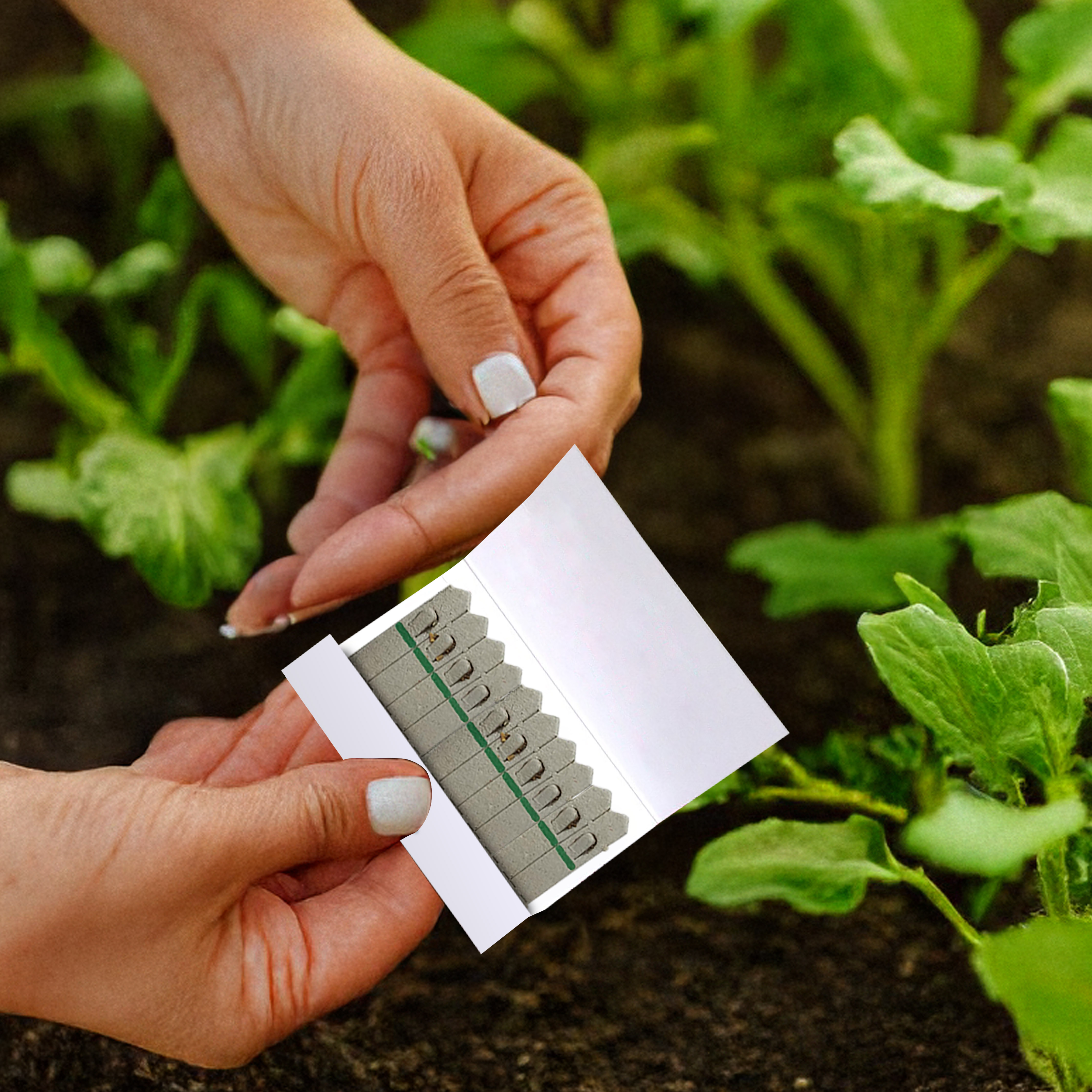 Medium Standard Seedstick - Example Artwork (3D) (SST-002) Lifestyle Unbranded.jpg