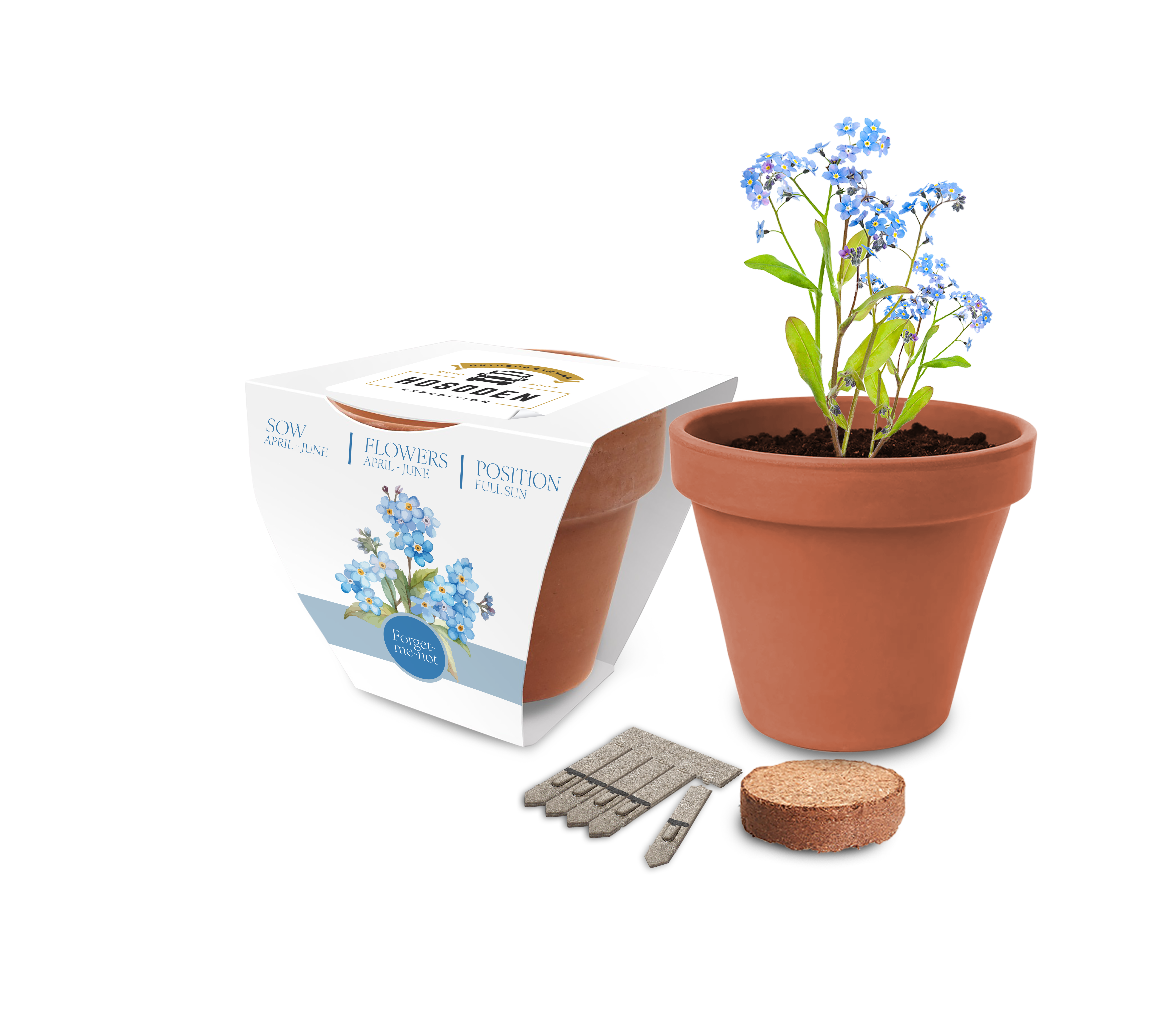 Essentials Clay Pot Gardens - Example Artwork (Forget-me-not) (3D) (SUP-003).png